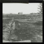 Böhl glass slide 51./1265